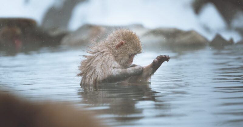 アイキャッチ41