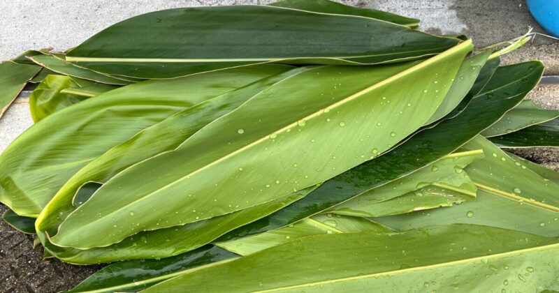 アイキャッチ46