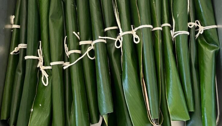 アイキャッチ46