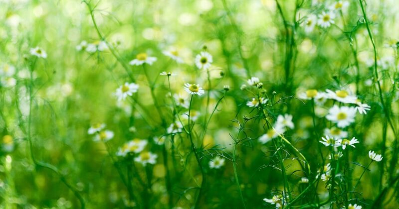 アイキャッチ26