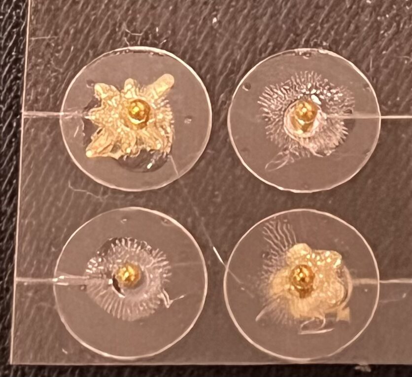 耳つぼジュエリーを体験4