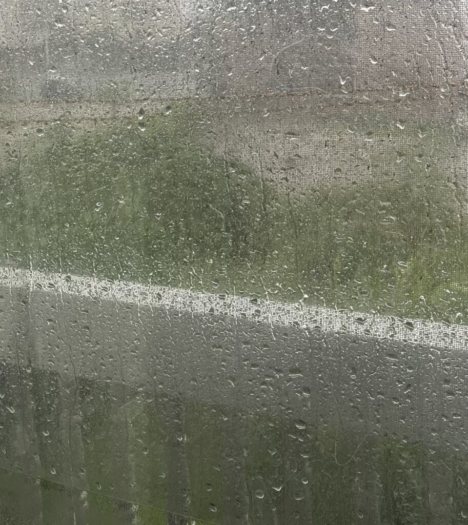 台風対策2